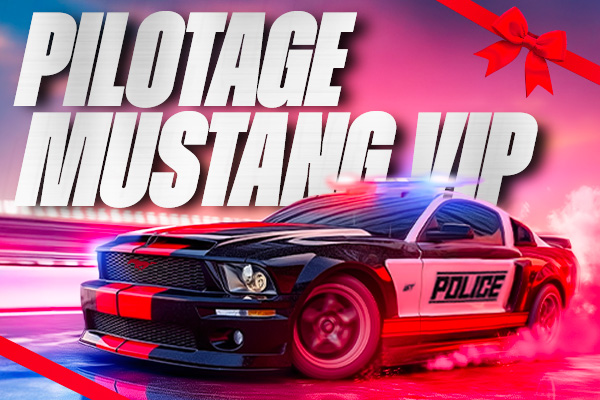Coffret pilotage Mustang Vip