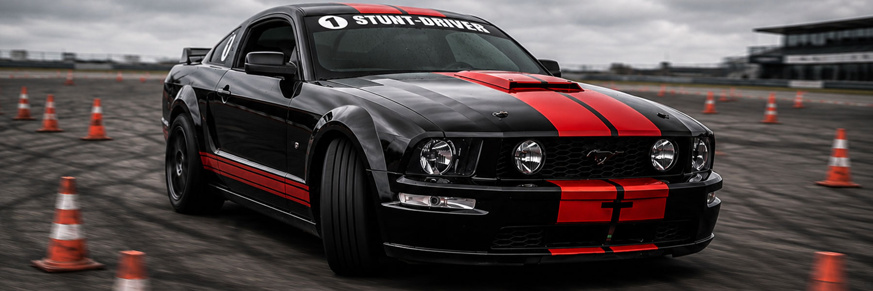 Confirmé Gymkhana Mustang